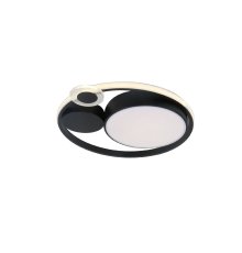 Потолочный светильник Arte Lamp Stockholm A2690PL-1BK