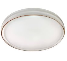Потолочный светильник Эра SPB-6-80-RC Solar Б0054484