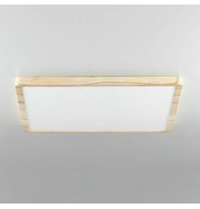 Потолочный светильник Citilux Бейсик CL738K502V