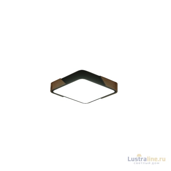 Потолочный светильник Zortes Alberro ZRS.01281.24 Потолочный светильник Zortes Alberro ZRS.01281.24
