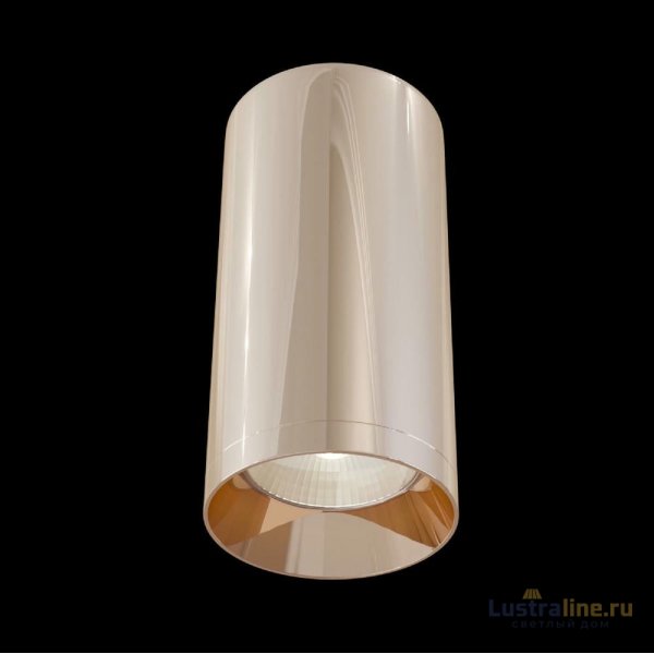 Потолочный светильник Maytoni Alfa C010CL-01RG Потолочный светильник Maytoni Alfa C010CL-01RG