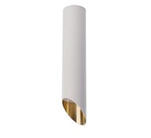 Потолочный светильник Maytoni Technical Lipari C044CL-01-30GU10-W