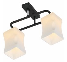 Потолочный светильник Reluce 06595-0.3-02