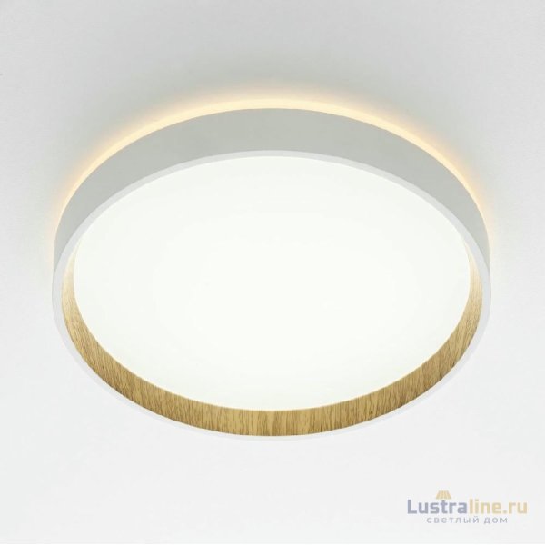 Потолочный светильник Citilux Etalon CL750240