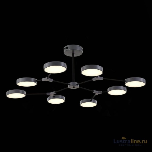 Потолочный светильник Evoluce Monta SLE6003-702-08