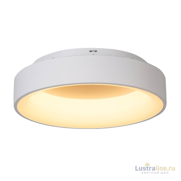 Потолочный светильник Myfar Shannon MR2194-1PL