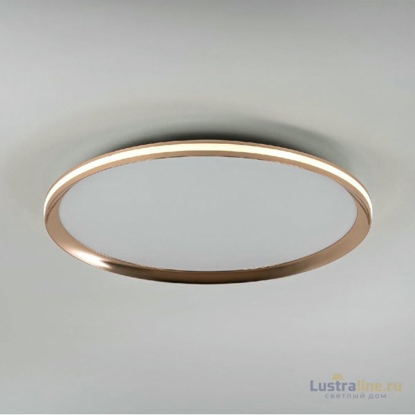 Потолочный светильник LED4U L3020-500 GD Потолочный светильник LED4U L3020-500 GD