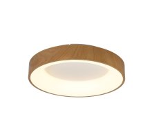 Потолочный светильник Mantra Niseko 8588