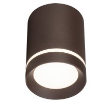 Потолочный светильник 20009 20009SMU/01LED CF