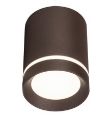 Потолочный светильник 20009 20009SMU/01LED CF