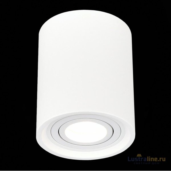 Потолочный светильник ST Luce ST156.502.01