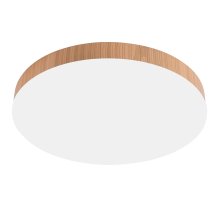 Потолочный светильник Feron AL1600 51111