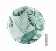 Потолочный светильник Sonex Pale Flori 7748/DL