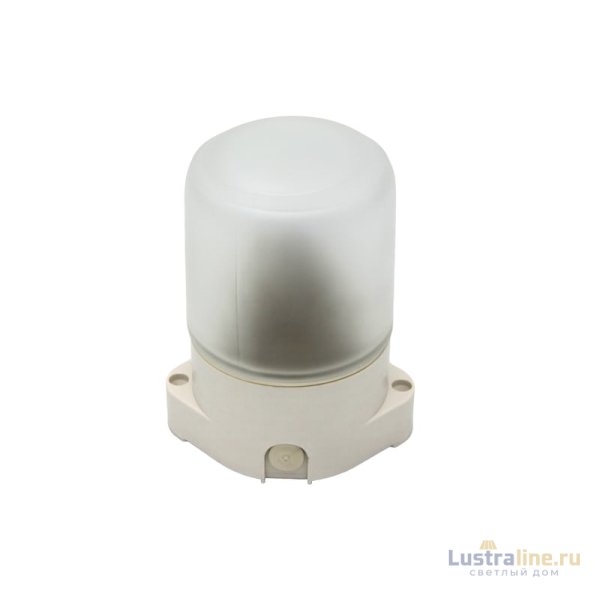 Потолочный светильник ЭРА НББ 01-60-001 Б0048030