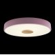 Потолочный светильник Loft IT AXEL 10003/24 Pink