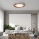 Потолочный светильник ImperiumLoft Runis 219476-26