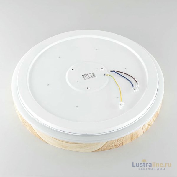 Потолочный светильник Citilux Enzo CL753452G Потолочный светильник Citilux Enzo CL753452G