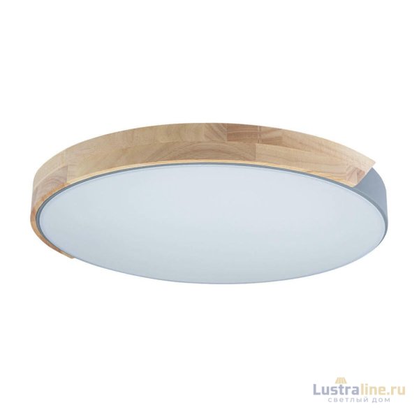 Потолочный светильник Loft IT AXEL 10004/36 Grey Потолочный светильник Loft IT AXEL 10004/36 Grey