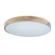 Потолочный светильник Loft IT AXEL 10004/36 Grey