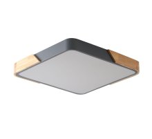 Потолочный светильник Zortes Alberro ZRS.01288.24 Потолочный светильник Zortes Alberro ZRS.01288.24