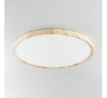 Потолочный светильник Citilux Бейсик CL738322V