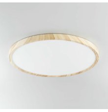 Потолочный светильник Citilux Бейсик CL738322V