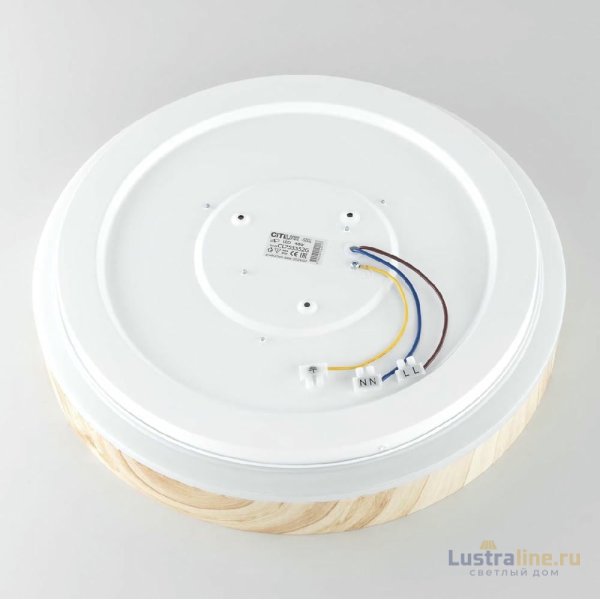 Потолочный светильник Citilux Enzo CL753352G Потолочный светильник Citilux Enzo CL753352G