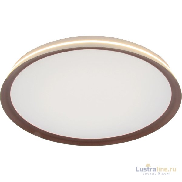Потолочный светильник Mizi en Titan MZ31502-640