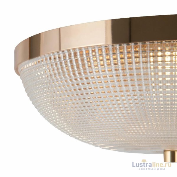 Потолочный светильник Maytoni Coupe C046CL-03G