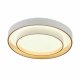 Потолочный светильник Myfar Rhea MR9161-CL