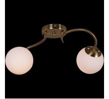 Потолочный светильник Reluce 81724-0.3-02