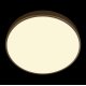 Потолочный светильник Loft IT Flims 10228/A