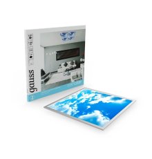 Потолочный светильник Gauss 846511340