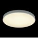 Потолочный светильник Loft IT AXEL 10002/48 White