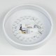Потолочный светильник Citilux Купер CL72424V0