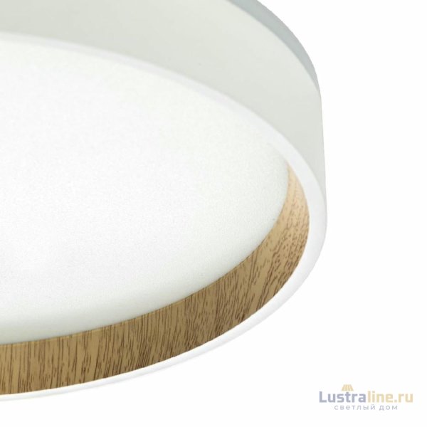 Потолочный светильник Citilux Etalon CL750240