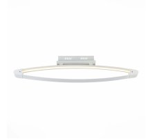 Потолочный светодиодный светильник ST Luce SL920.102.01