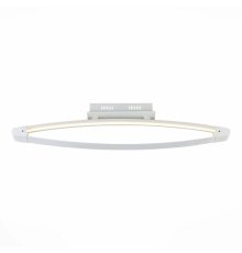 Потолочный светодиодный светильник ST Luce SL920.102.01