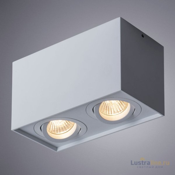 Потолочный светильник Arte Lamp Factor A5544PL-2WH Потолочный светильник Arte Lamp Factor A5544PL-2WH