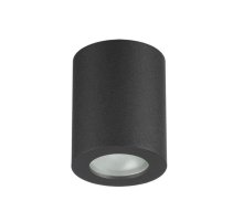 Потолочный светильник Odeon Light Aquana 3572/1C Потолочный светильник Odeon Light Aquana 3572/1C