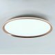 Потолочный светильник LED4U L3020-600 GD