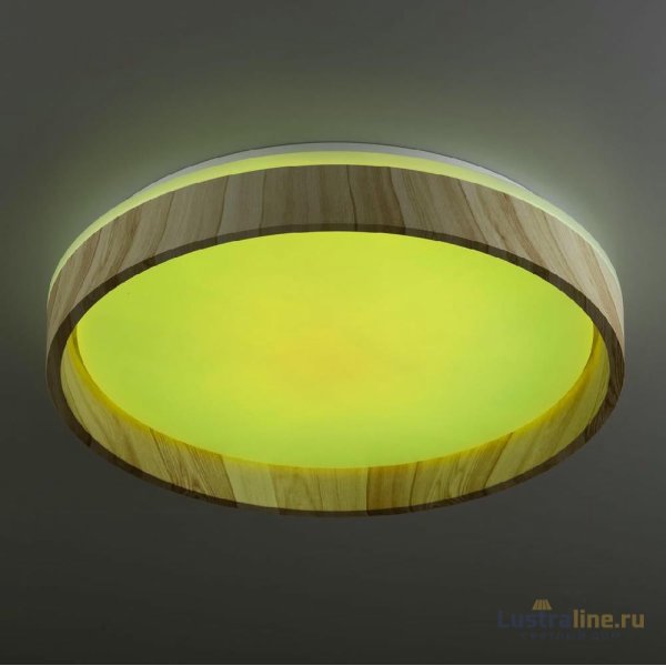 Потолочный светильник Citilux Enzo CL753352G Потолочный светильник Citilux Enzo CL753352G