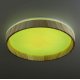 Потолочный светильник Citilux Enzo CL753352G