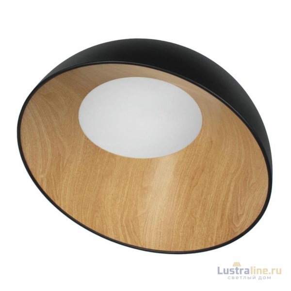 Потолочный светильник Loft IT Egg 10197/500 Black