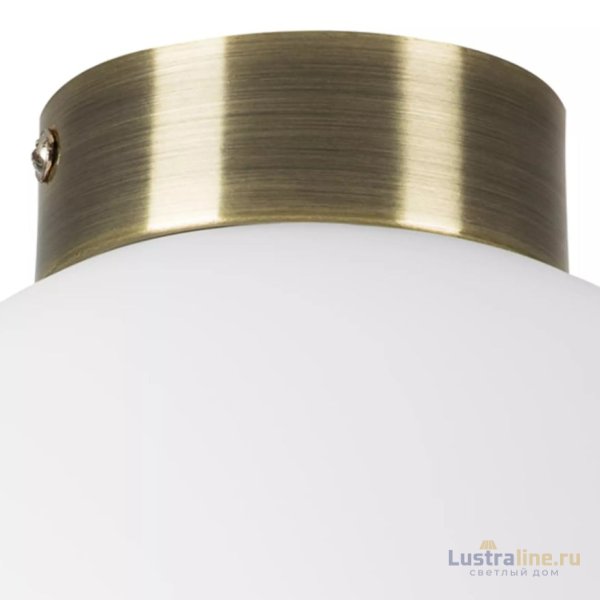 Потолочный светильник Lightstar Globo 812021