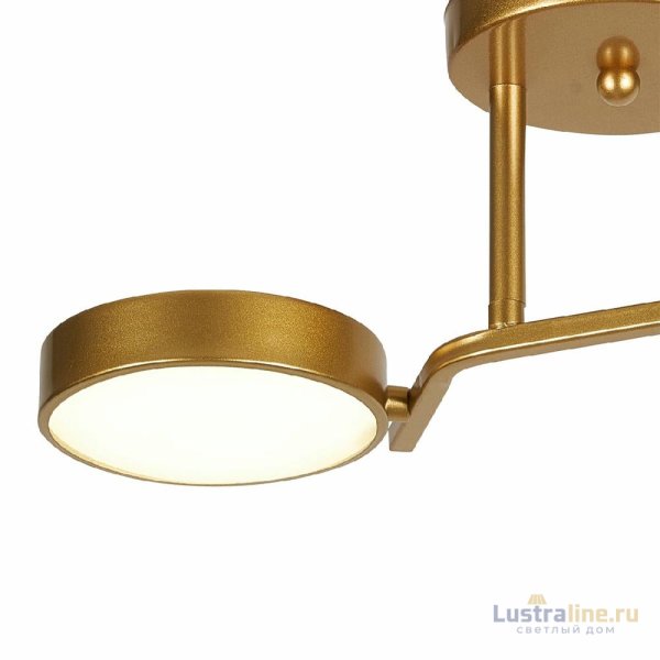 Потолочный светильник Escada Starlight 10273/2LED Потолочный светильник Escada Starlight 10273/2LED