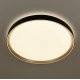 Потолочный светильник Citilux Boss CL751451G
