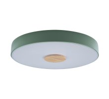 Потолочный светильник Loft IT AXEL 10003/24 Green