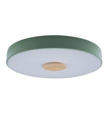 Потолочный светильник Loft IT AXEL 10003/24 Green