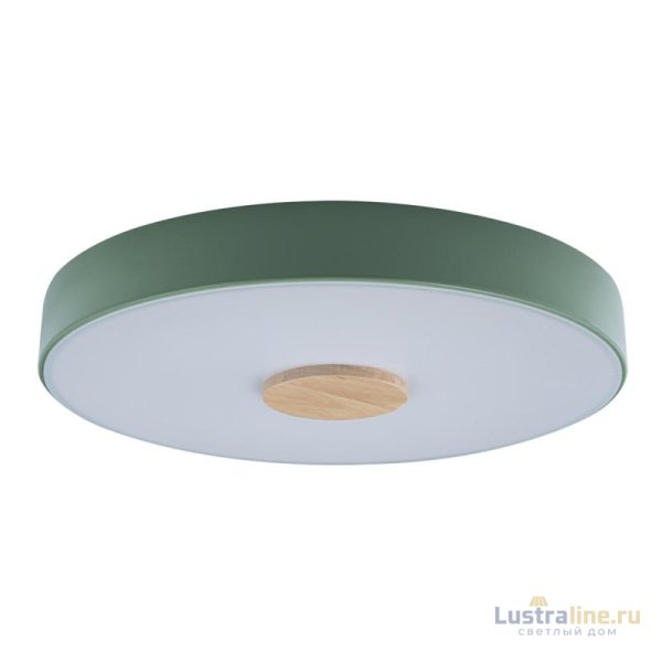 Потолочный светильник Loft IT AXEL 10003/24 Green Потолочный светильник Loft IT AXEL 10003/24 Green